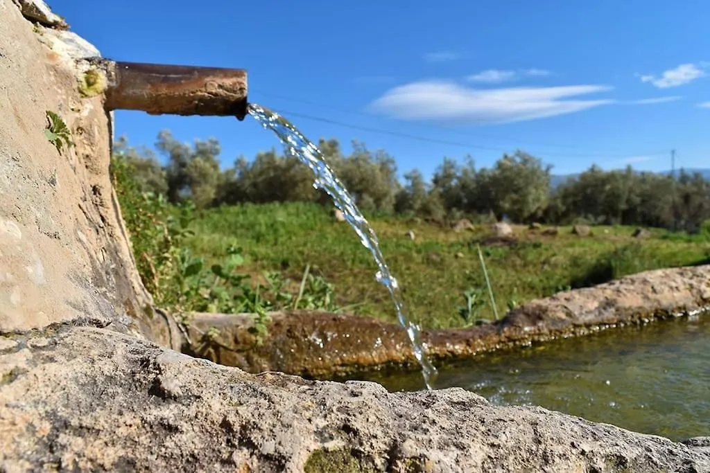 Gite Rural 100 % Authentique Zagra Spain