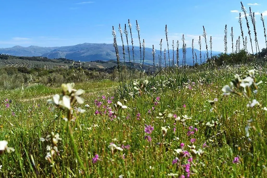Holiday home Gite Rural 100 % Authentique Zagra