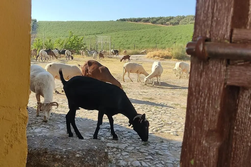 Prázdninový dům Gite Rural 100 % Authentique Zagra