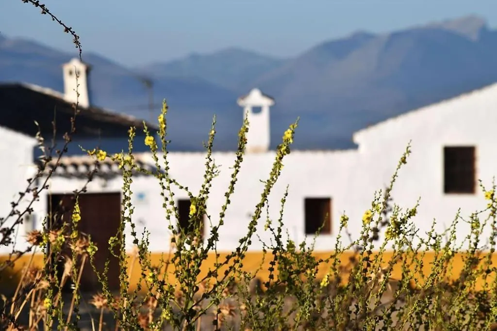 Gite Rural 100 % Authentique Zagra 0*,  Spain