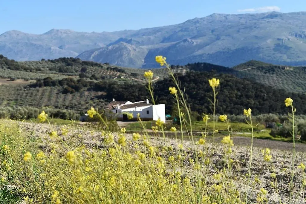 Gite Rural 100 % Authentique Zagra Holiday home