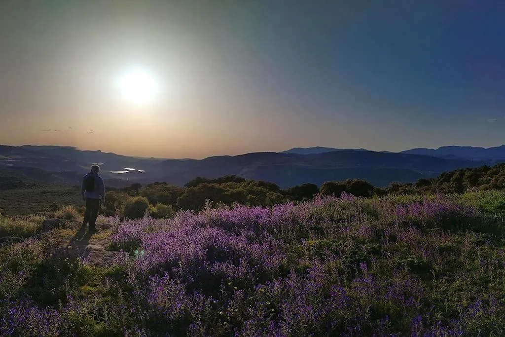 Gite Rural 100 % Authentique Zagra Spain